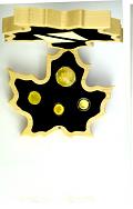 Maple Leaf Pure Gold Fractional Set 43,68g Gold - 2020 Maple Leaf Pure G...