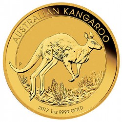 Australian Kangar...