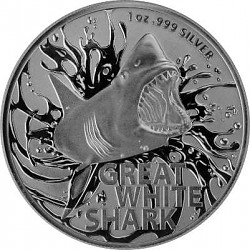 Great White Shark...