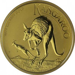 Australian Kangar...