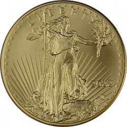 American Eagle 1o...