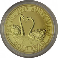 Australien Schwan...