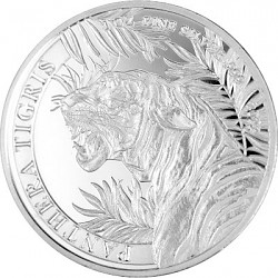 Laos Tiger 